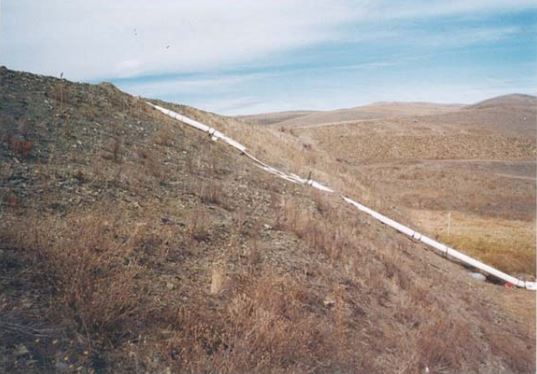 File:LP3.jpg